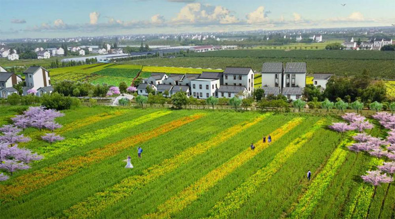 广东陆丰田园综合体旅游蹊径景寓目法设计.jpg